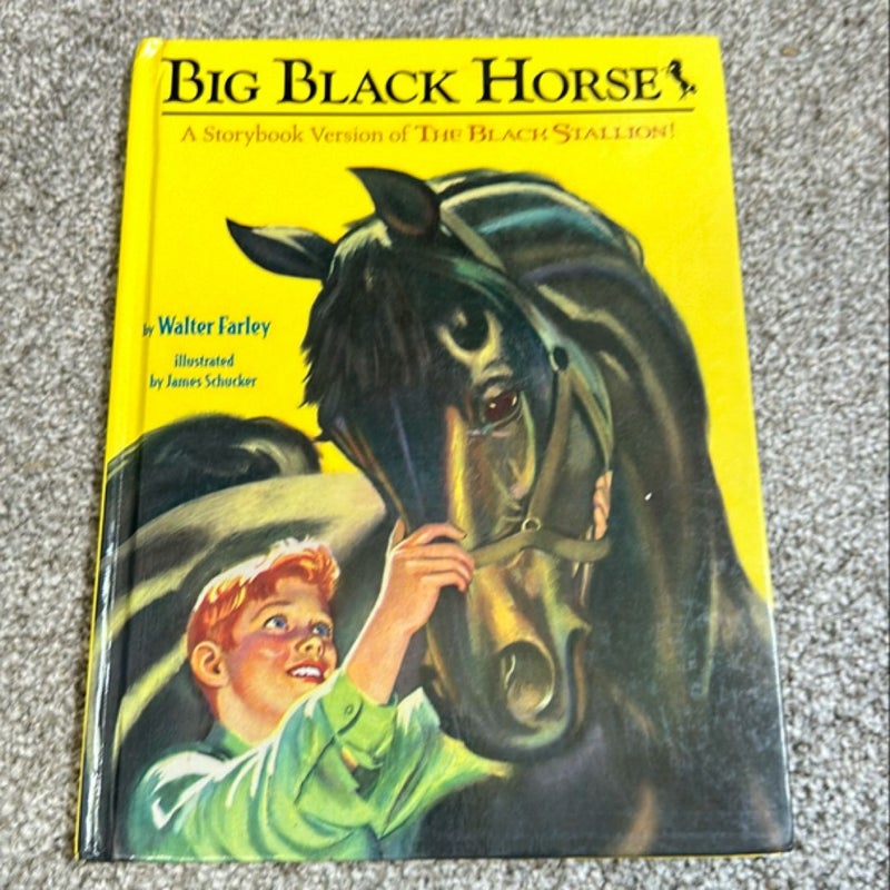 Big Black Horse