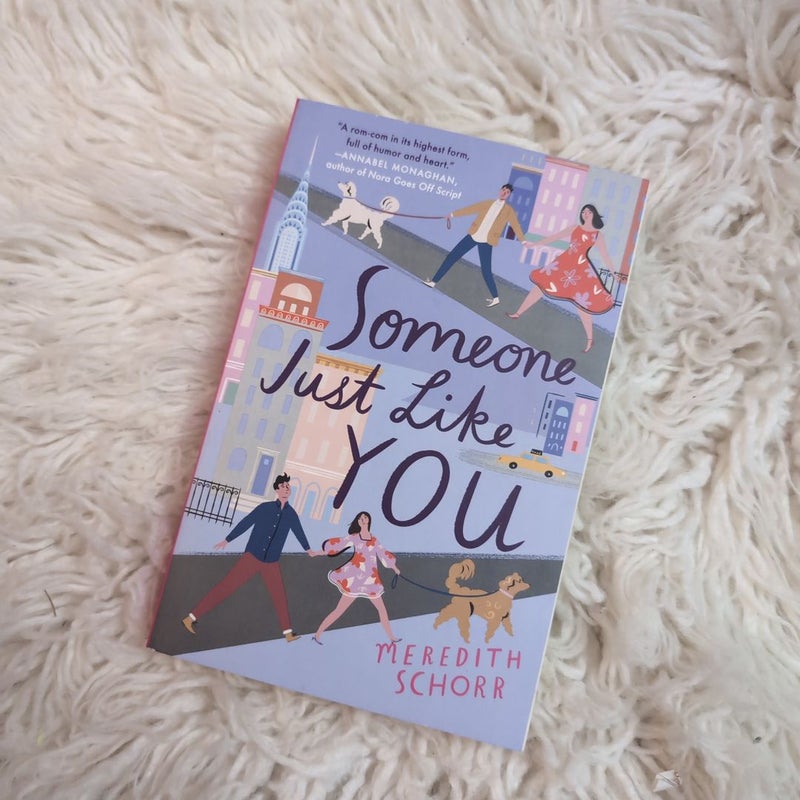 Someone Just Like You