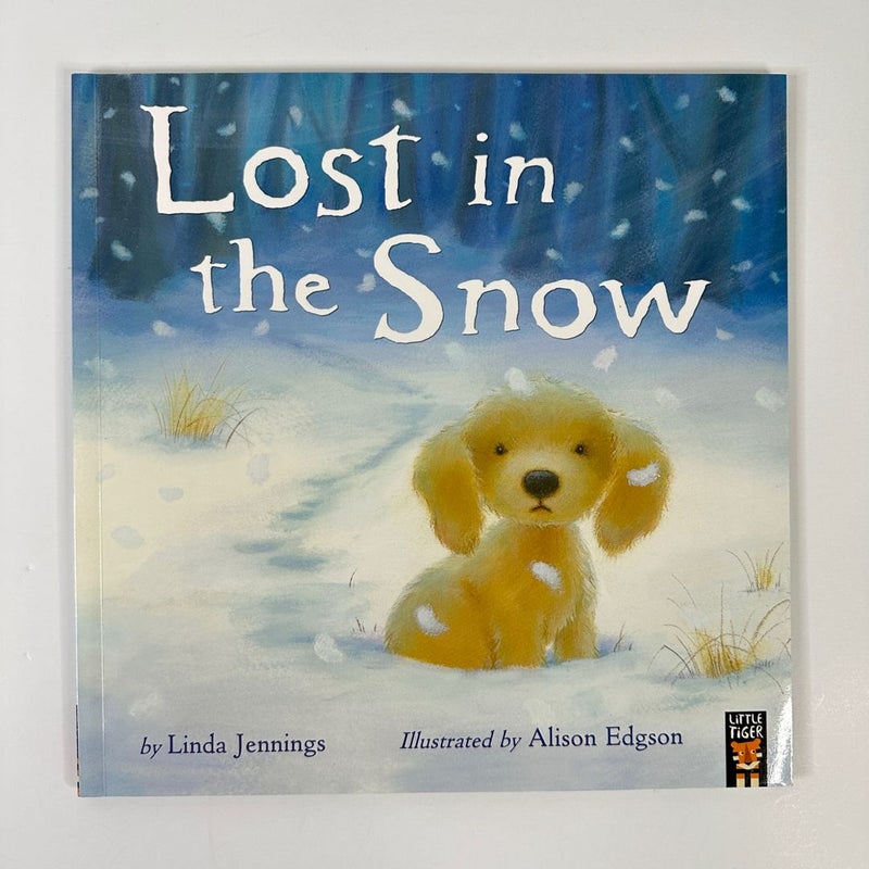 Lost in the Snow, New