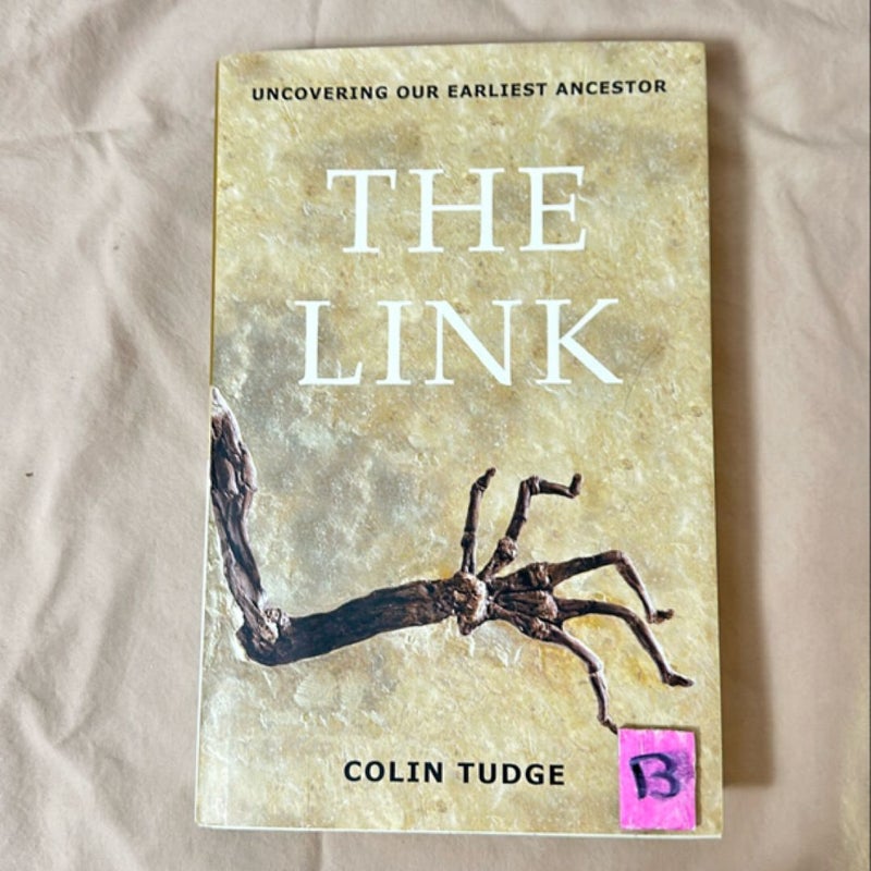 The Link