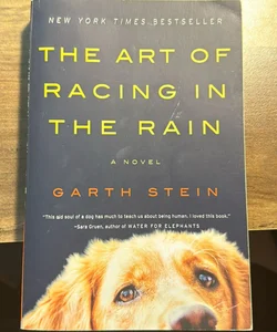 The Art of Racing in the Rain