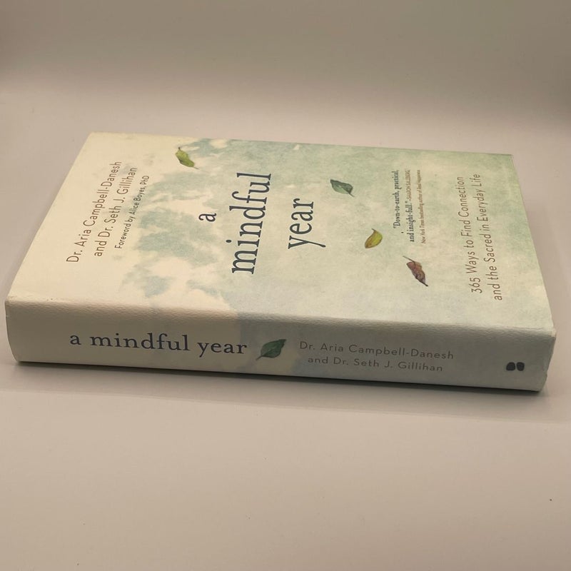 A Mindful Year