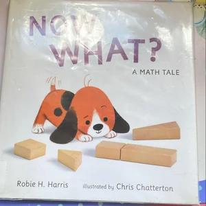 Now What? a Math Tale