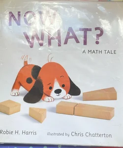 Now What? a Math Tale