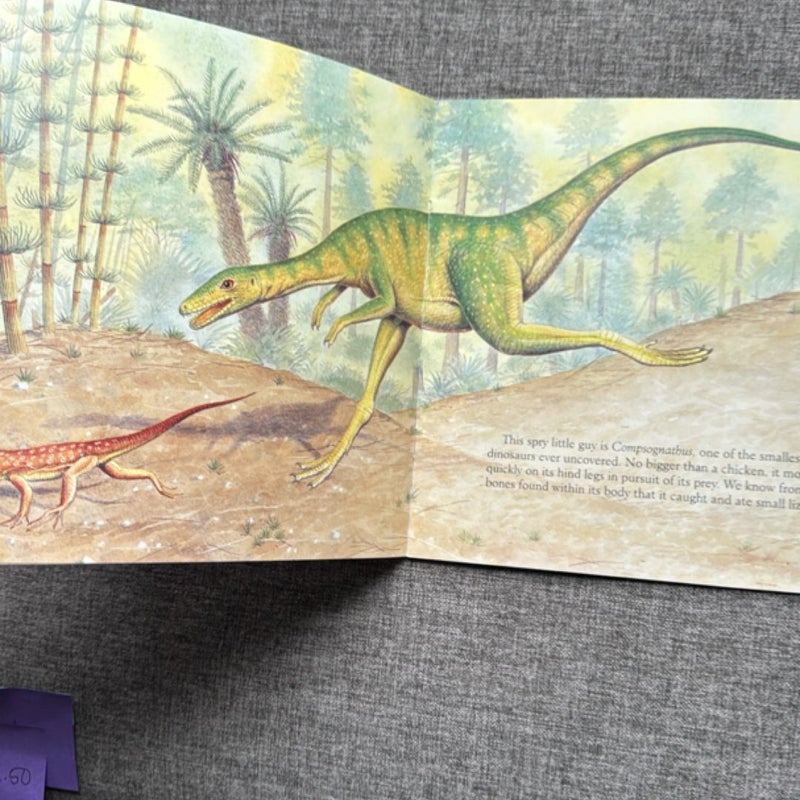 The Glow-in-the-Dark Dinosaur Skeletons
