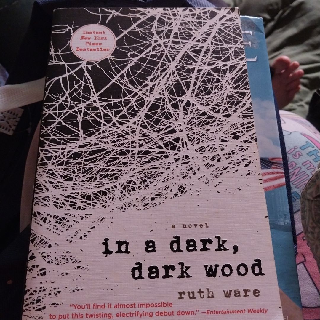 In a Dark, Dark Wood