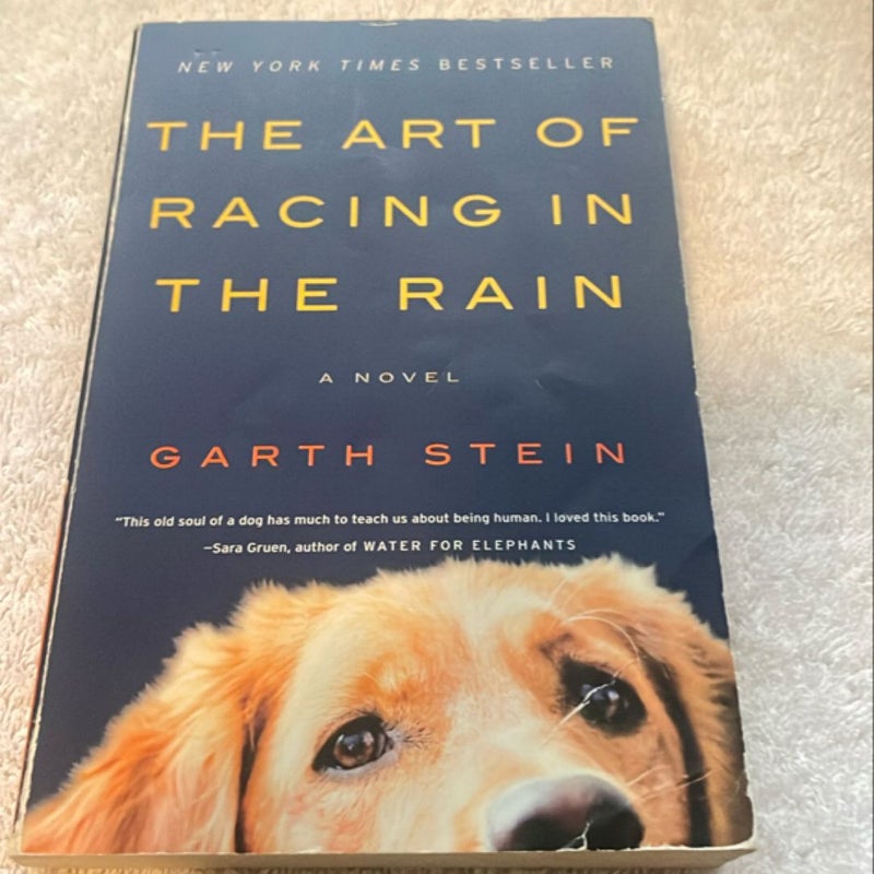 The Art of Racing in the Rain