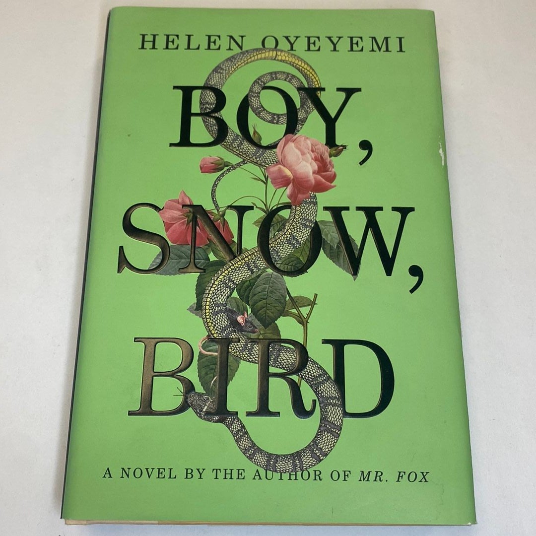 Boy, Snow, Bird