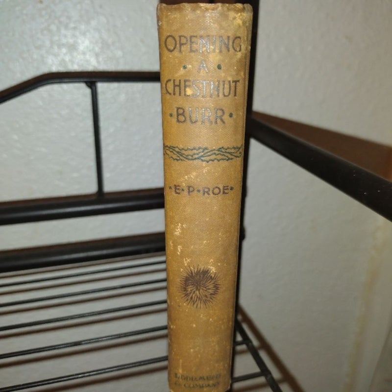 Opening a Chestnut Burr