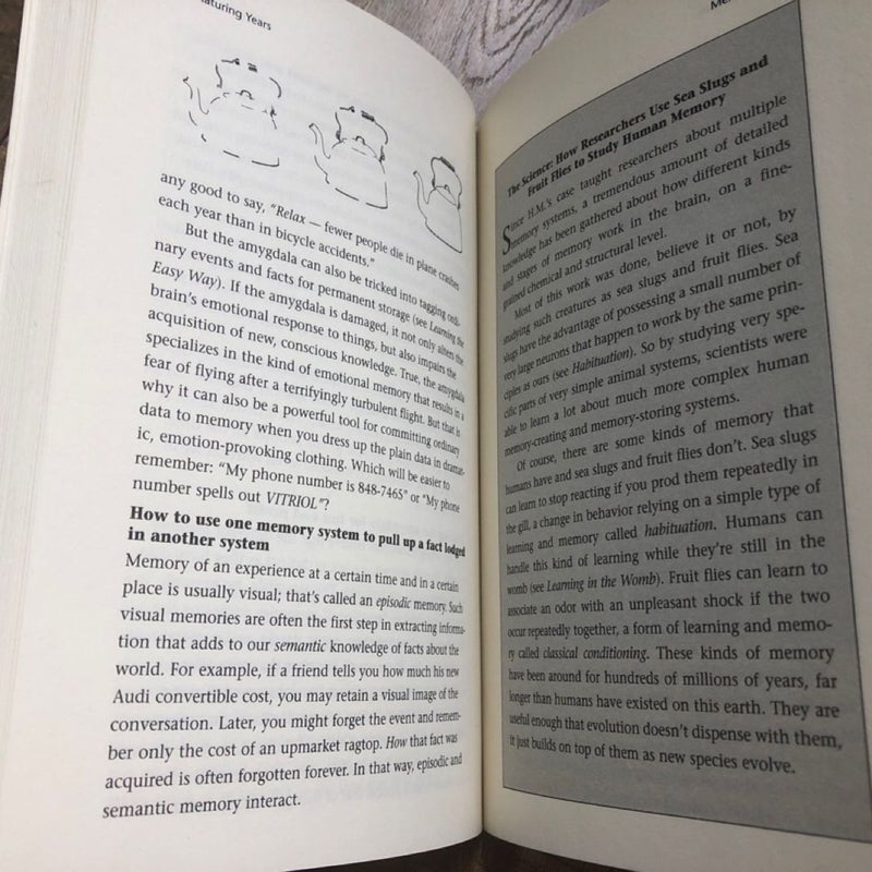 Learn Faster & Remember More by Gamon & Bragdon - Brain Growth