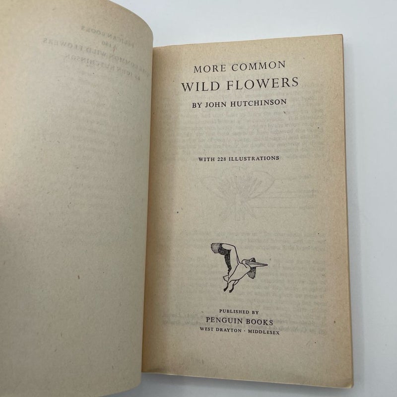 More Common Wild Flowers