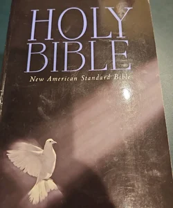 HOLY BIBLE