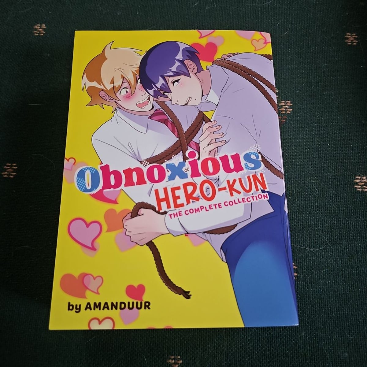 Obnoxious Hero-Kun: the Complete Collection by Amanda Rahimi