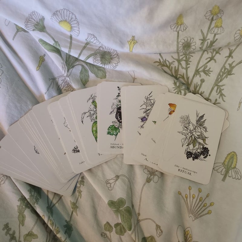 Hedgewitch Botanical Oracle