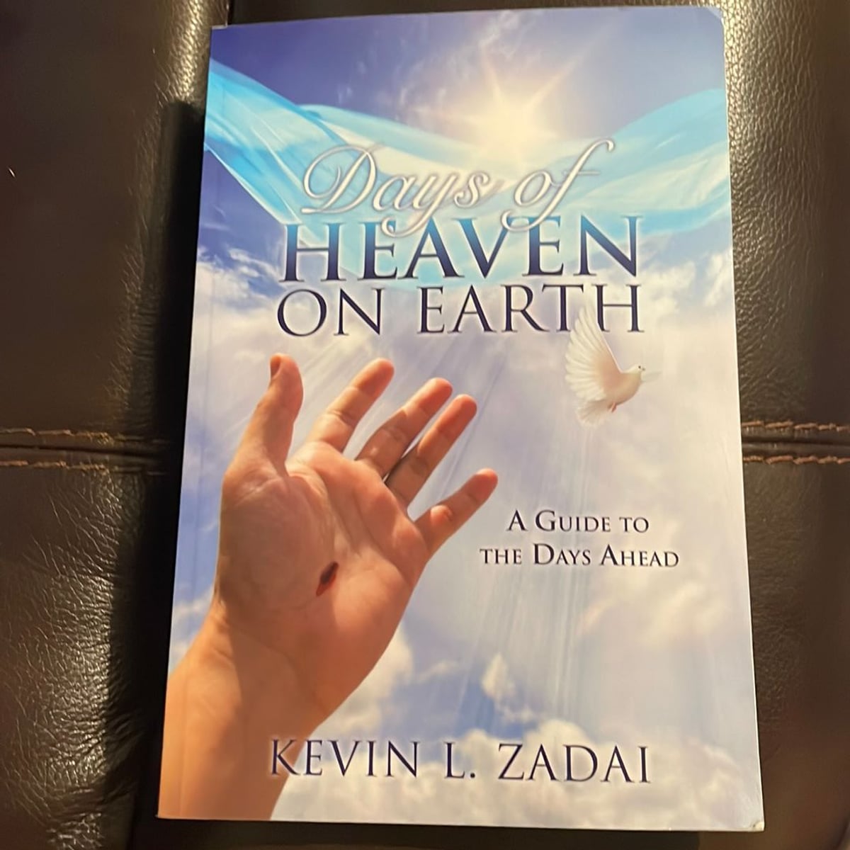 Days of Heaven on Earth by Kevin L. Zadai