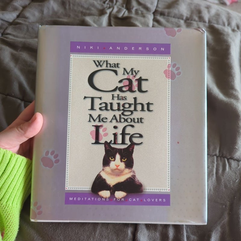 What My Cat Has Taught Me about Life