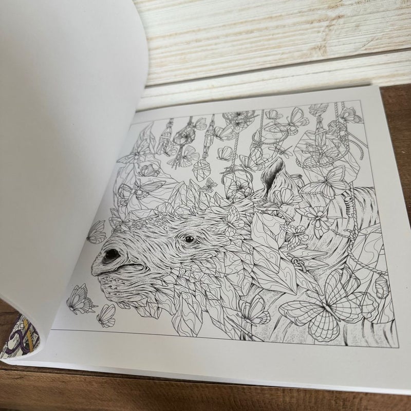 Mythographic Color and Discover: Wild Winter