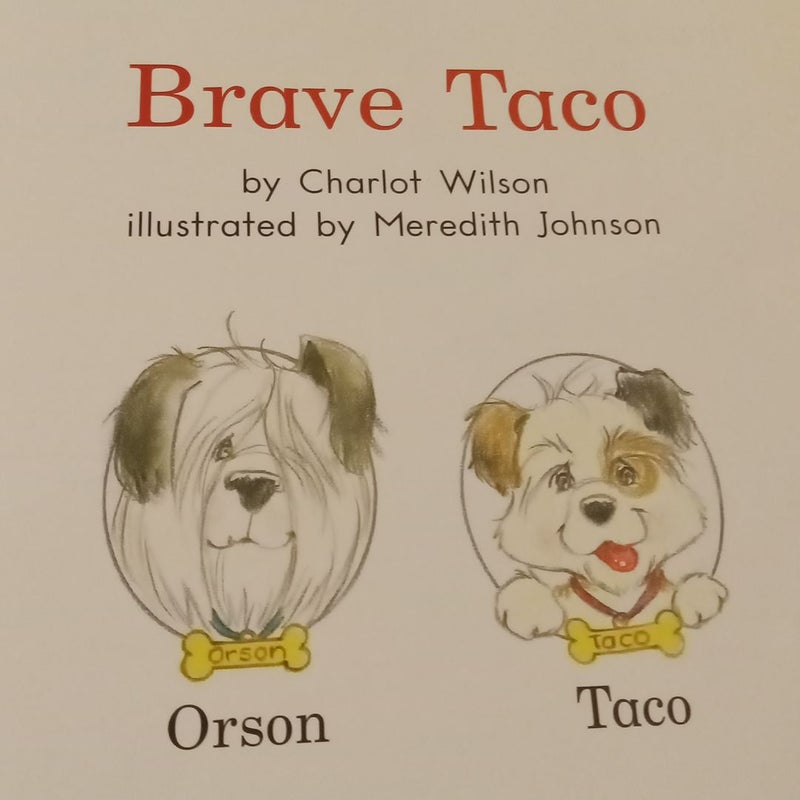 Brave Taco 