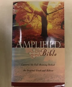Amplified Outreach Bible, Paperback