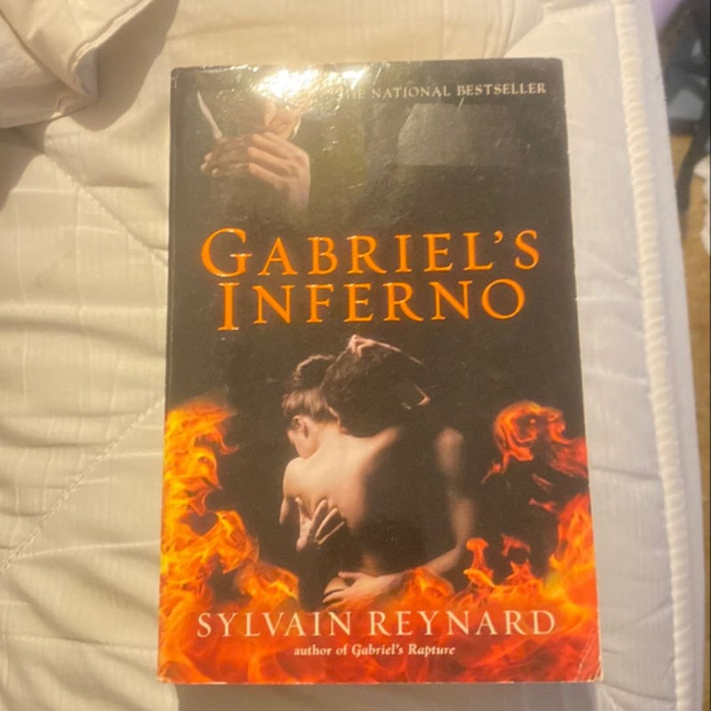 Gabriel’s Inferno Series