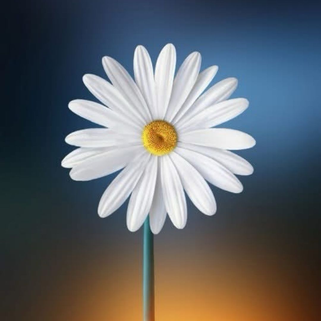 Winslow’s Bookshelf