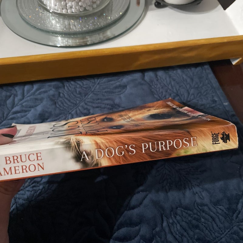 A Dog’s Purpose