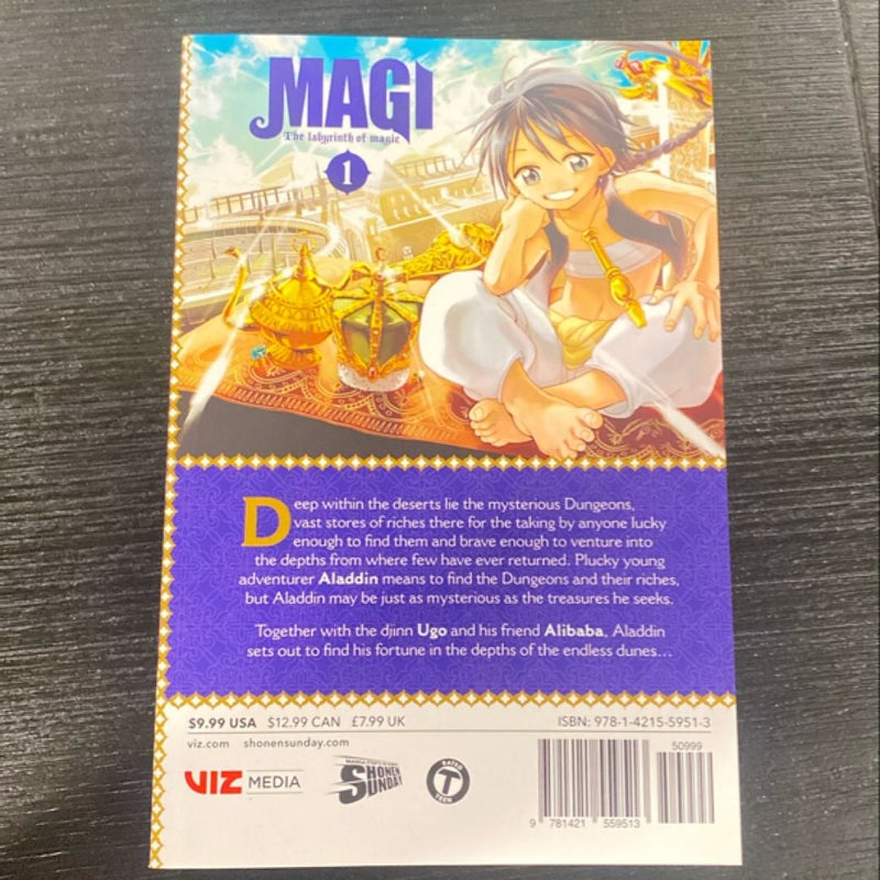 Magi: the Labyrinth of Magic, Vol. 1