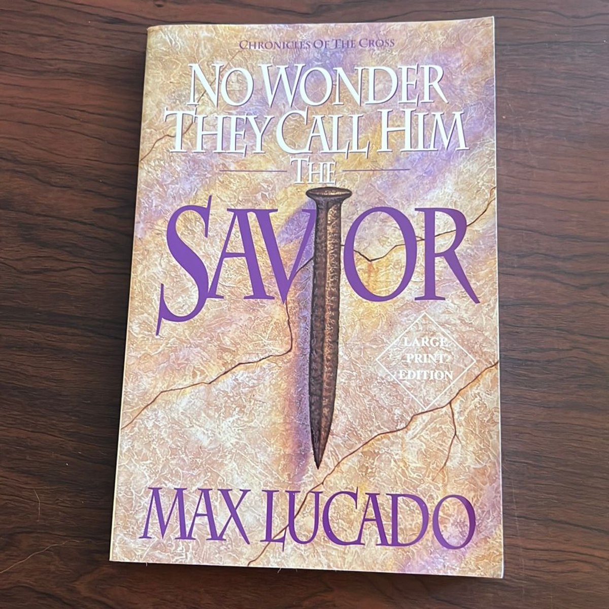 No Wonder They Call Him the Savior by Max Lucado