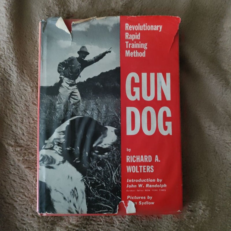 Gun Dog