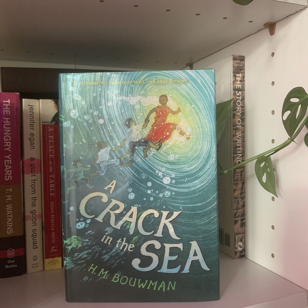 A Crack in the Sea by H. M. Bouwman
