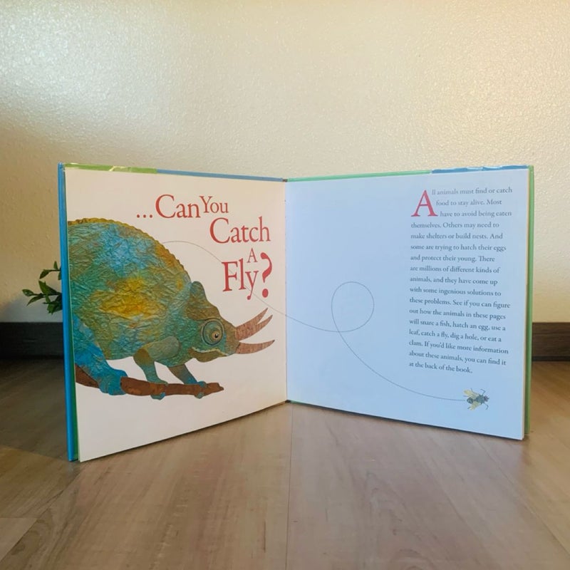 How Many Ways Can You Catch a Fly?