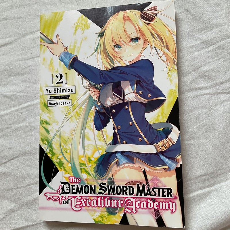 The Demon Sword Master of Excalibur Academy, Vol. 2 (light Novel)