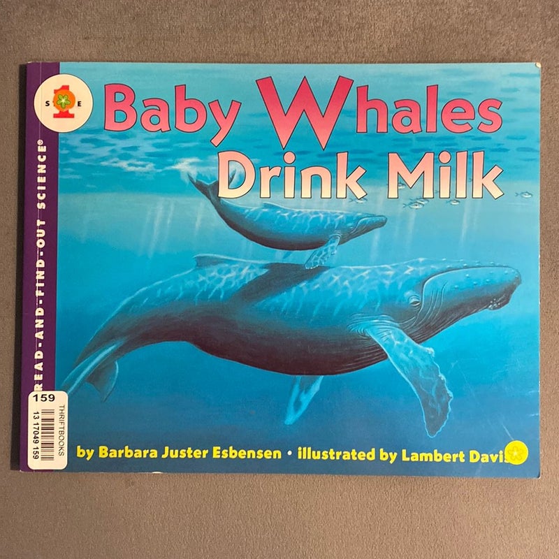 Baby Whales Drink Milk