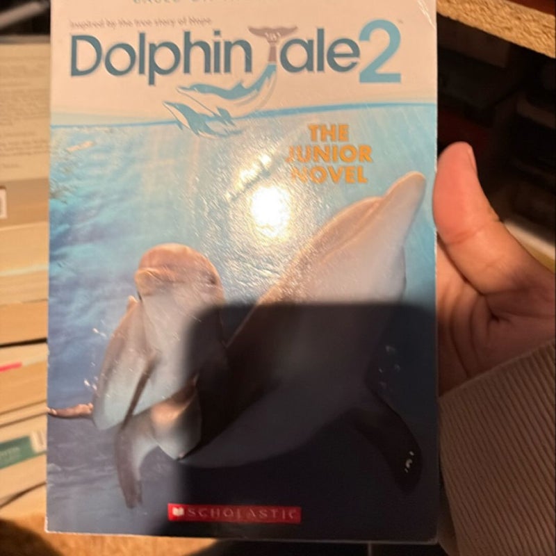 Dolphin Tale 2