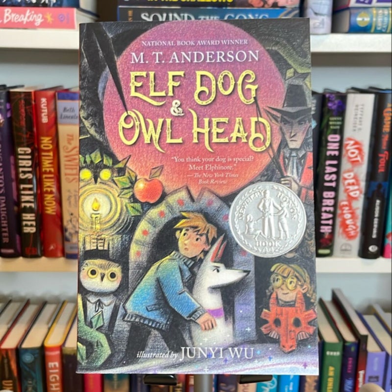 Elf Dog and Owl Head