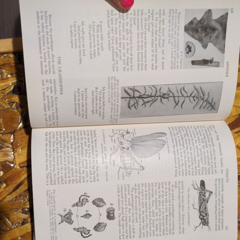 handbook of nature study
