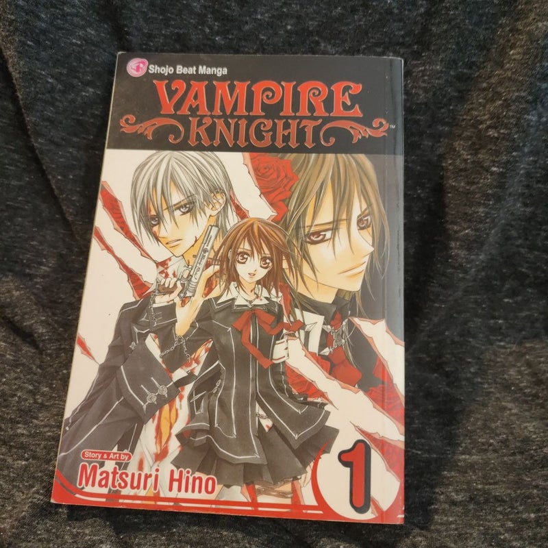 Vampire Knight, Vol. 1