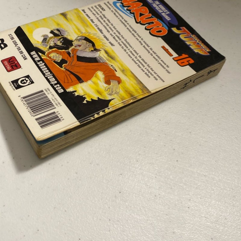 Naruto, Vol. 16