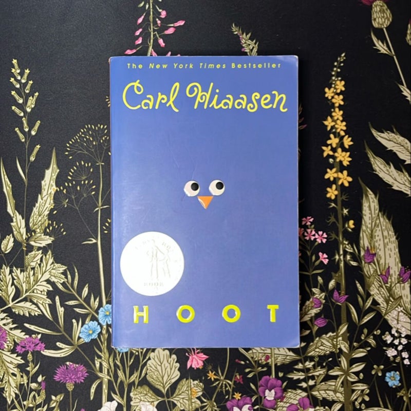 Hoot