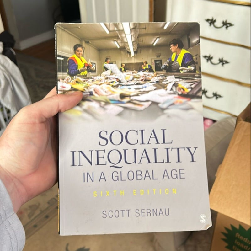 Social Inequality in a Global Age