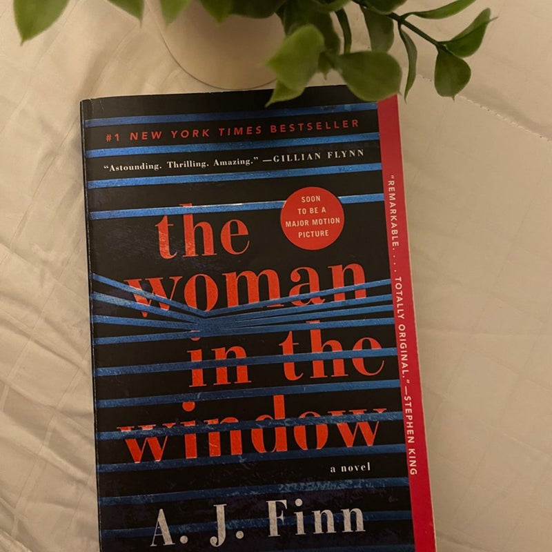 The Woman in the Window