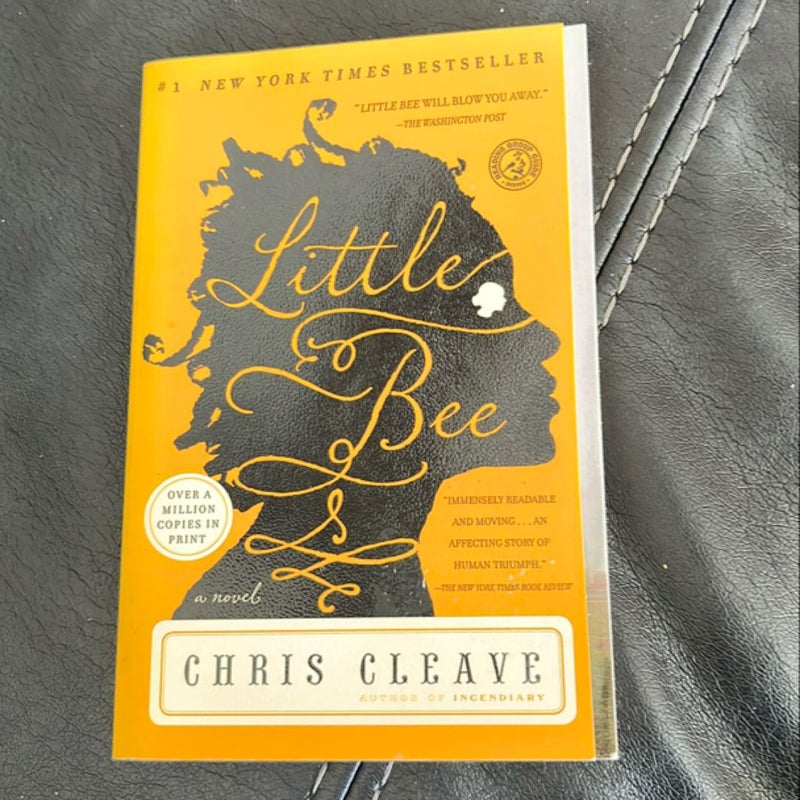 Little Bee