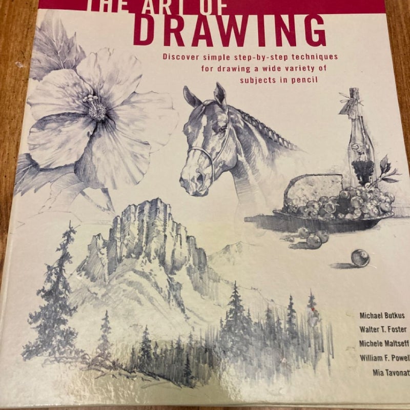 The Art Of Drawing