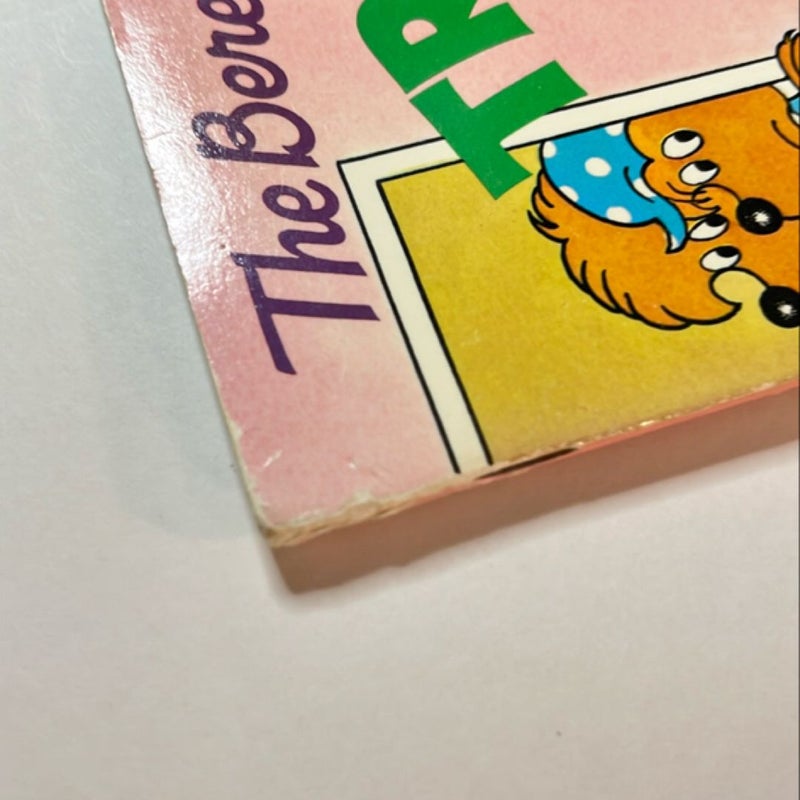 The Berenstain Bears' Trouble with Money