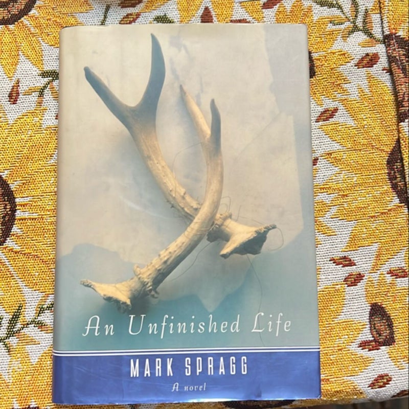 An Unfinished Life