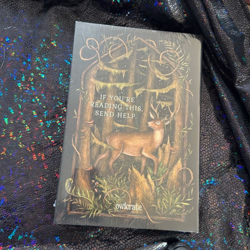 What the woods took - owlcrate