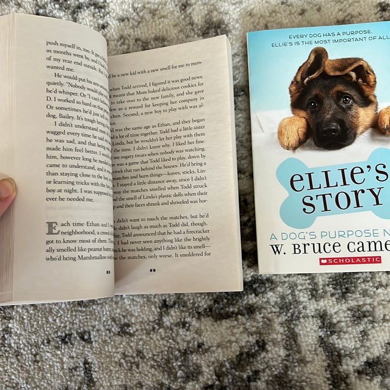 Bailey’s story and Ellie’s Story