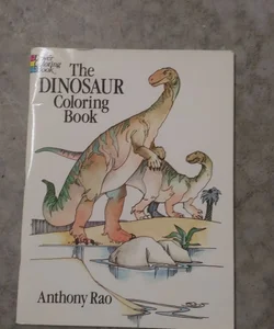 The Dinosaur Coloring book