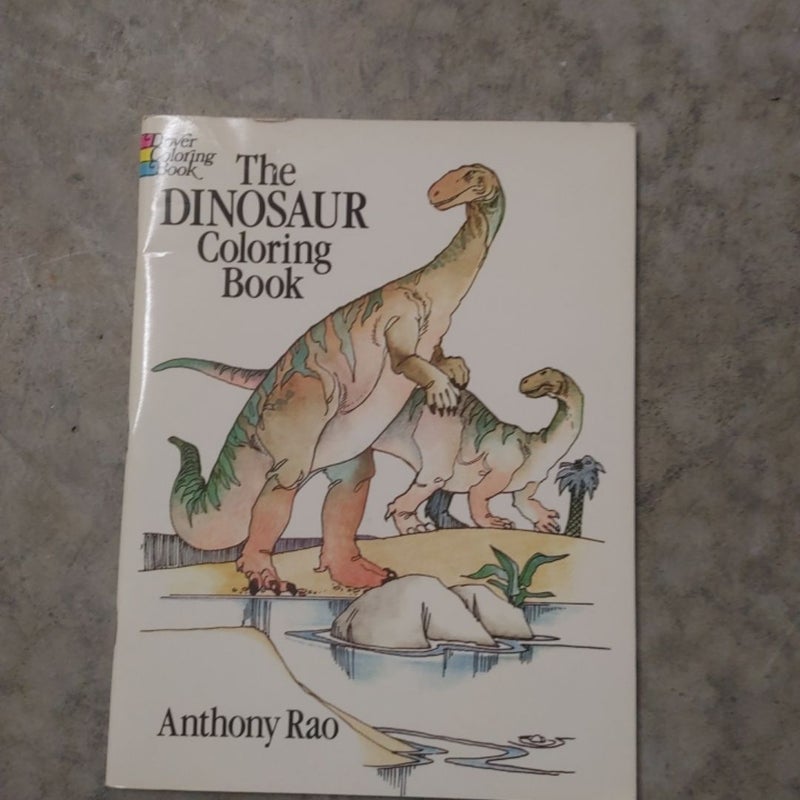 The Dinosaur Coloring book