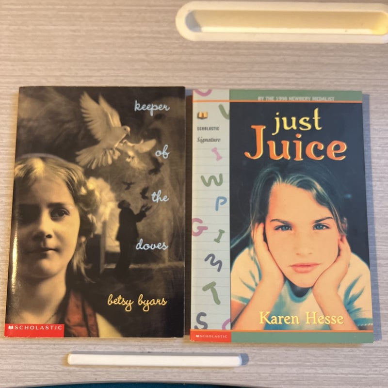 Bundle Middle Grade or Young Adult